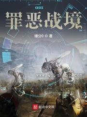 罪恶战境小说