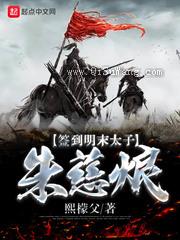 签到明末太子朱慈烺小说