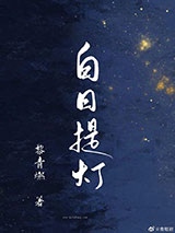 白日提灯小说