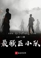 最强区小队小说