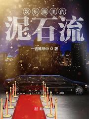 娱乐圈里的泥石流小说