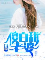 我的傻白甜老婆小说