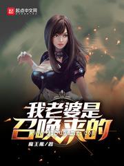 我老婆是召唤来的小说