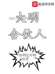 大明合伙人小说