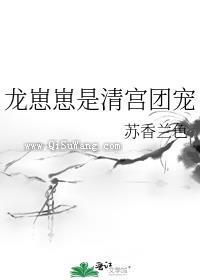 龙崽崽是清宫团宠小说