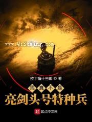 我真不是亮剑头号特种兵小说