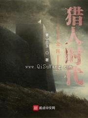 全民猎人时代小说