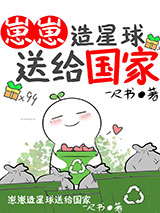 崽崽造星球送给国家小说