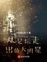 从足坛走出的大明星小说