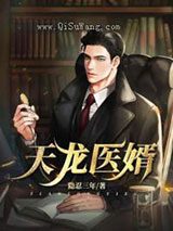 天龙医婿小说