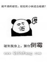 不要乱碰瓷小说