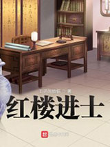 红楼进士小说