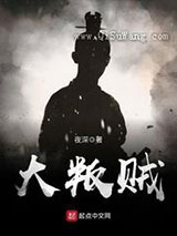大叛贼小说
