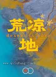 荒凉地小说