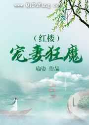 红楼宠妻狂魔小说