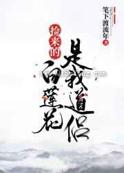 捡来的白莲花是我道侣小说