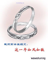 我的前半生续文：这一年如风如歌小说