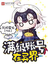 满级账号在异界小说