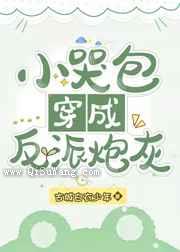 小哭包穿成反派炮灰小说