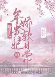 清穿之年贵妃的娇软日常小说