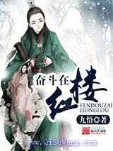 奋斗在红楼小说