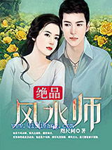 绝品风水师小说