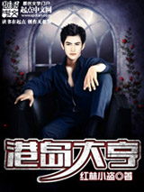 港岛大亨小说