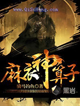 麻衣神算子小说
