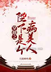 穿越之陛下是个病美人小说