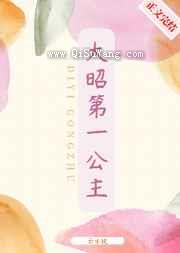 大昭第一公主小说