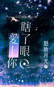 瞎了眼，爱上你小说