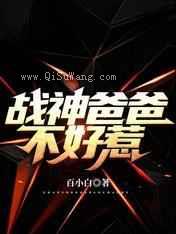 战神爸爸不好惹小说