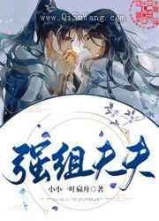 强组夫夫小说