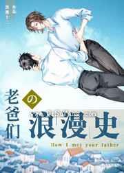 老爸们的浪漫史小说