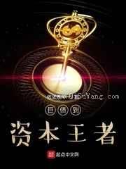 债王到资本王者小说