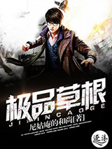极品草根小说