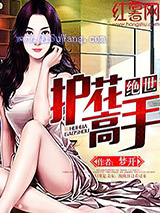 绝世护花高手小说
