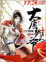 大唐驸马爷小说