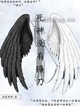 死神没有镰刀小说