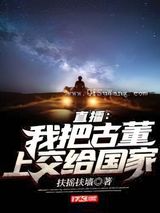 直播：我把古董上交给国家小说