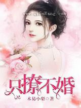 只撩不婚小说
