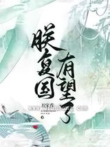 朕复国有望了小说