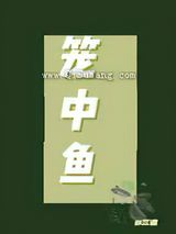 笼中鱼小说