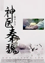 神医秦魏小说