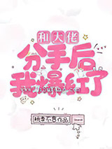 和大佬分手后我爆红了小说
