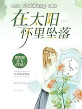 在太阳怀里坠落小说