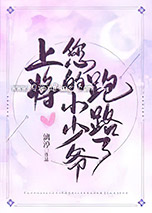 上将，您的小少爷跑路了小说