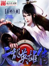 天龙英雄传小说