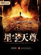 星宇天尊小说
