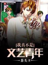 我真不是文艺青年小说